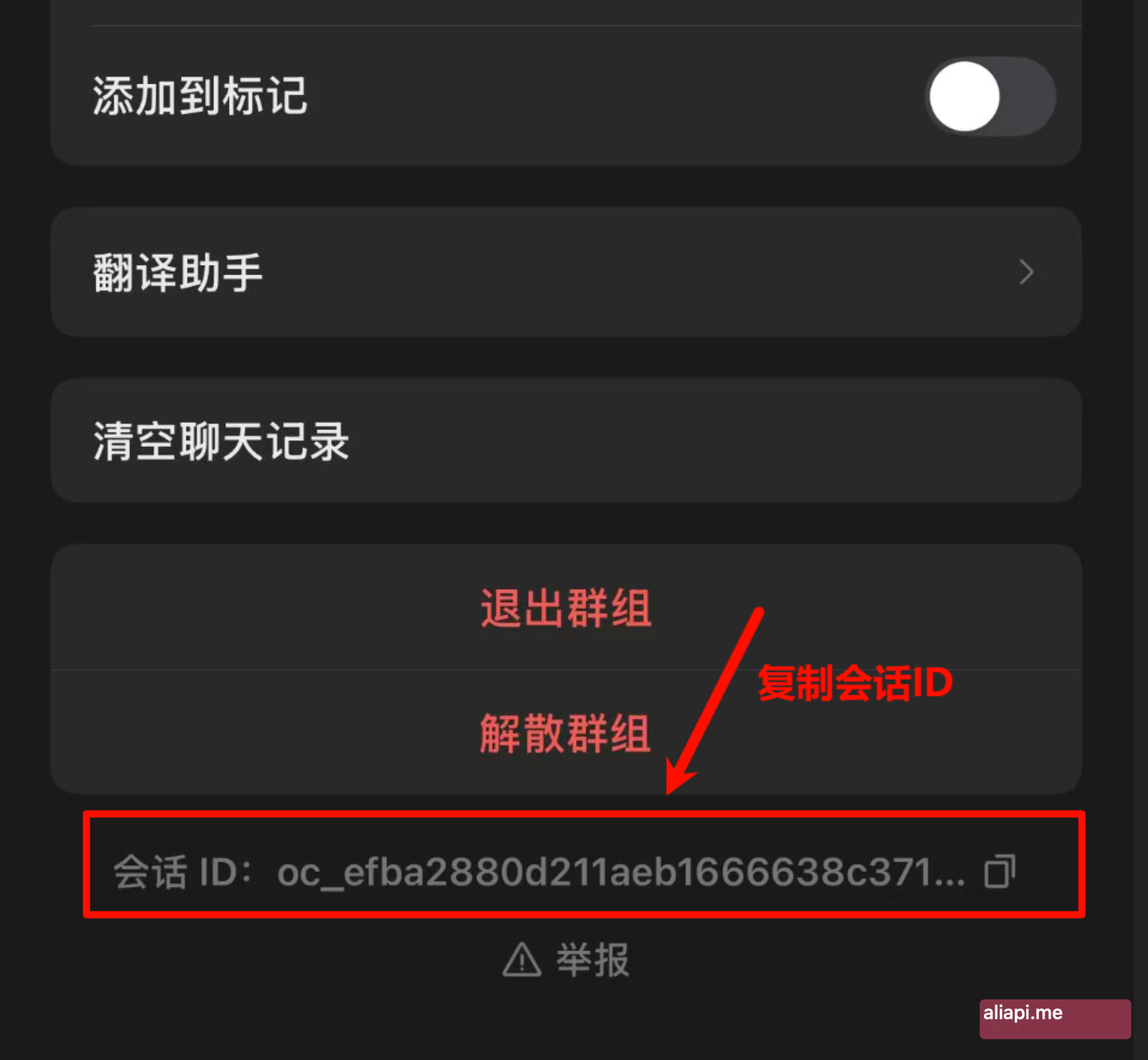 在飞书群设置中查看群聊 ID